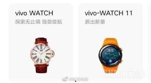 vivowatch最新爆料,颠覆传统，智能穿戴新篇章即将开启”